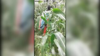 onlyfans fresh onlyfans sex shows leaks mega pack