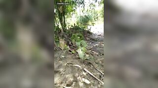 onlyfans leaked onlyfanssex streams pack part 1